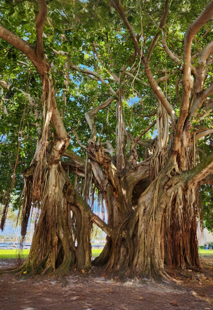 North Straub Park